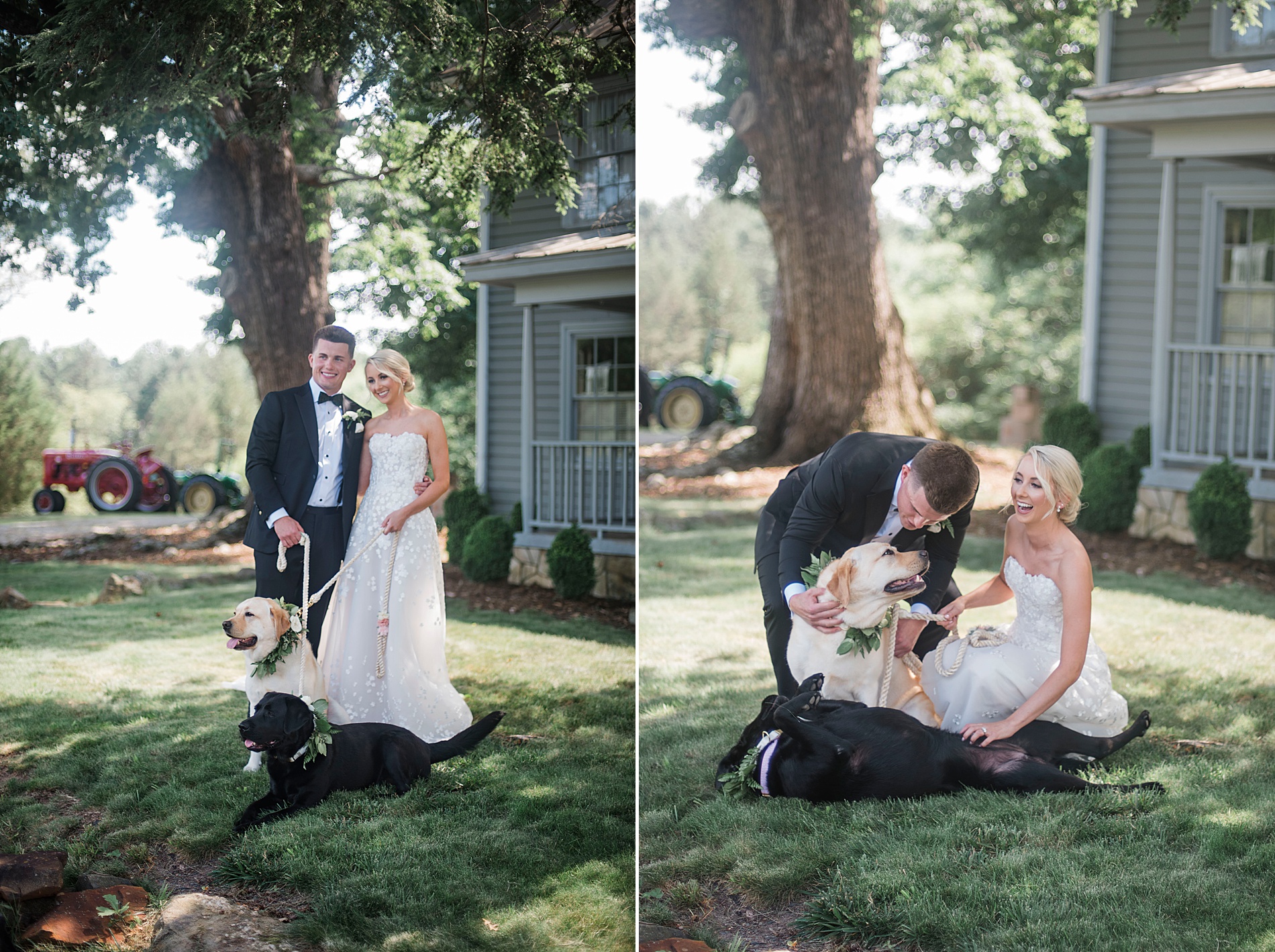 bride and groom take portraits with their two dogs