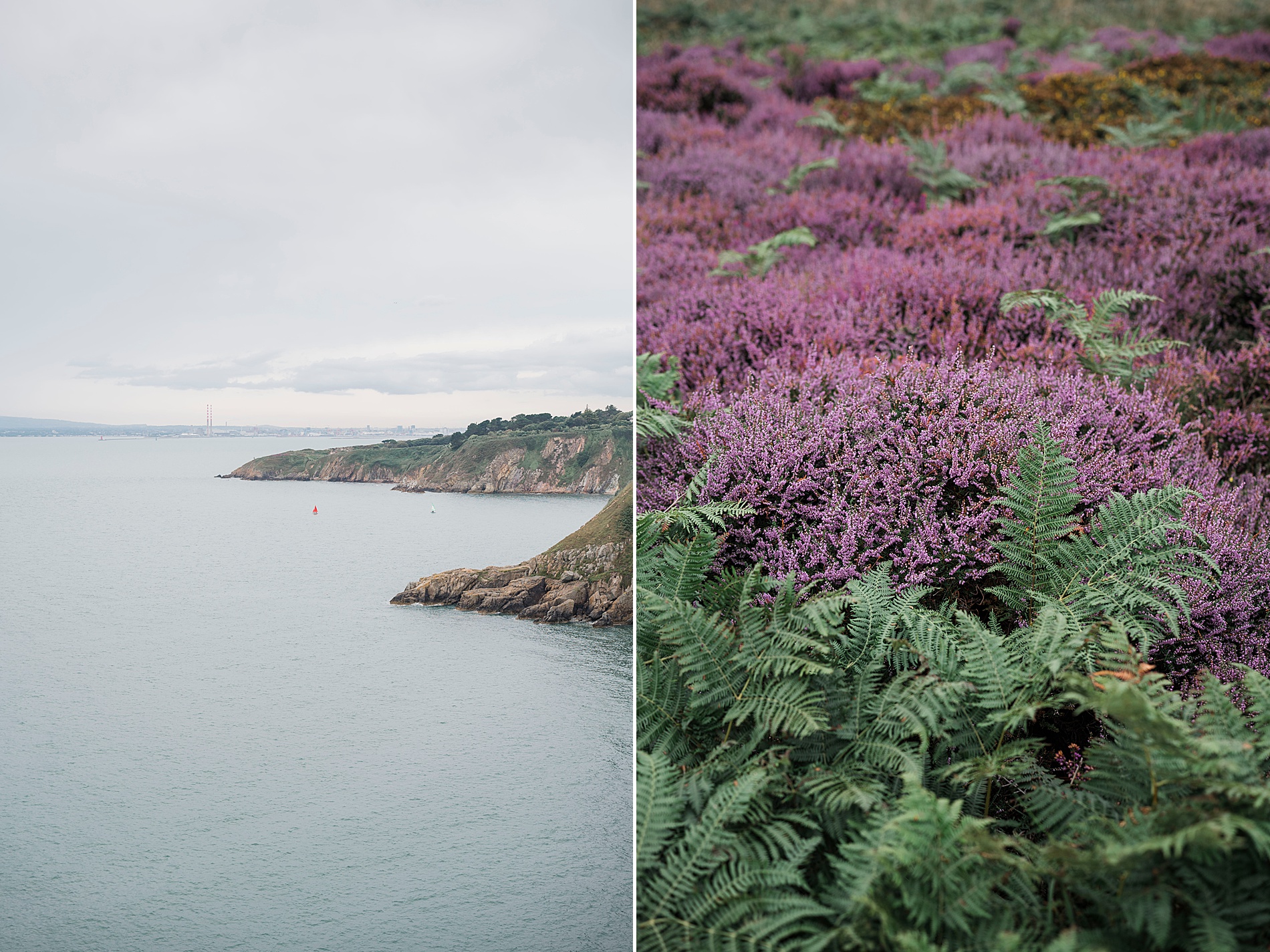Irish coastline