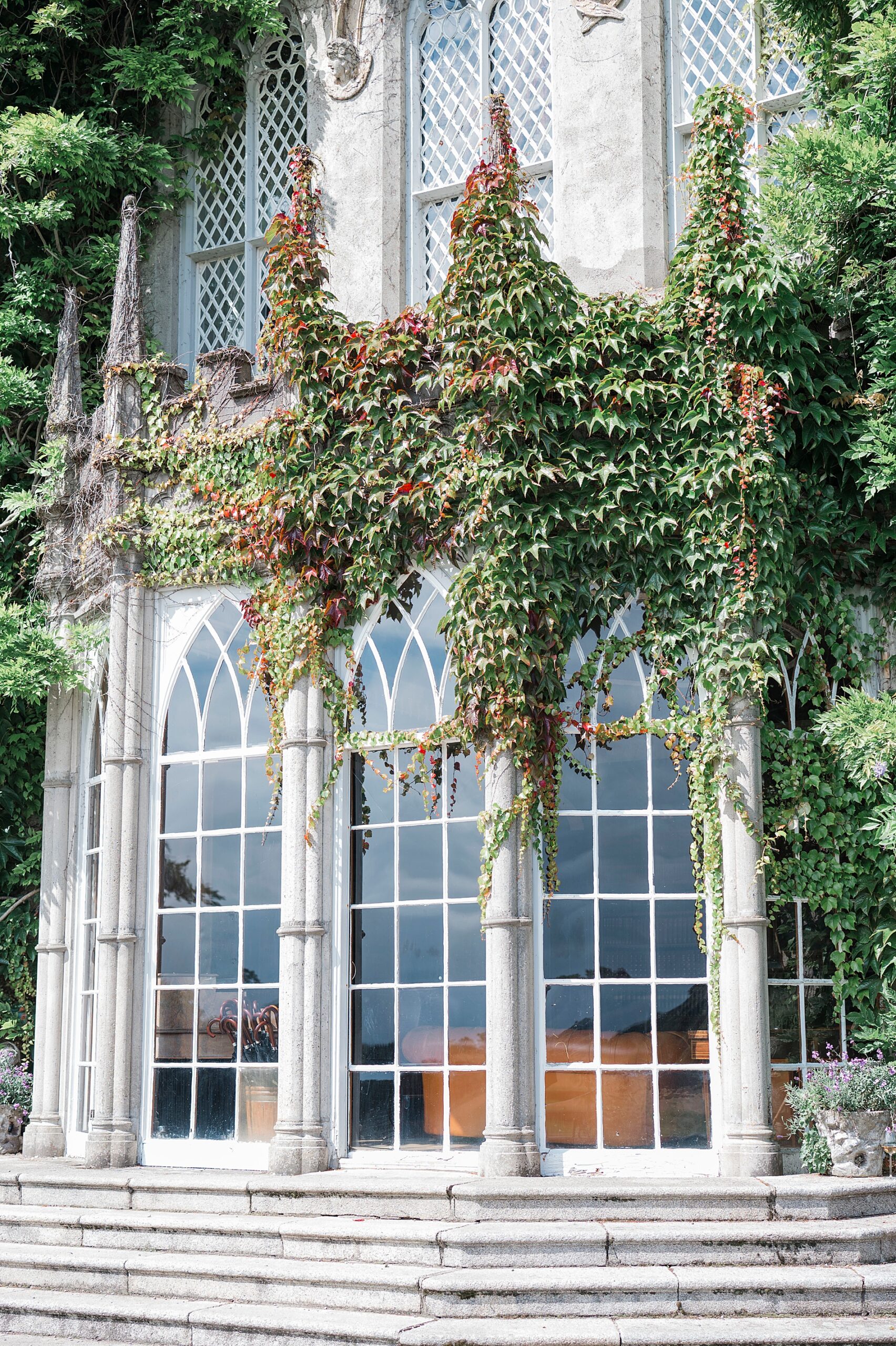 green vines draping over windows of castle